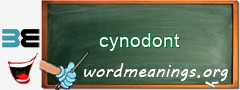 WordMeaning blackboard for cynodont